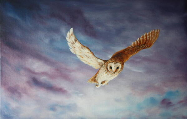 Barn Owl Poster featuring the painting Barn Owl by Jean Walker