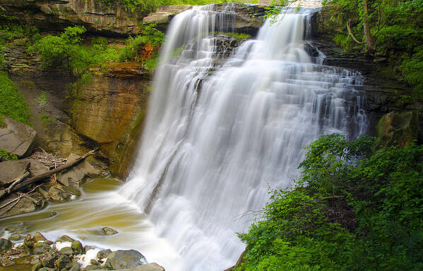 Waterfalls Poster featuring the photograph Beauty is Flowing by Carolyn Hall