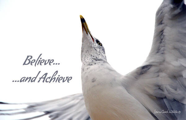 Nature Poster featuring the photograph Believe And You Can Achieve by Lena Wilhite