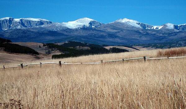 Bighorn Mountains Photo Poster featuring the photograph Bighorn Mountains WY by Susan Woodward