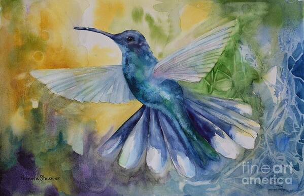 Hummingbird Poster featuring the painting Blue Chitter by Pamela Shearer