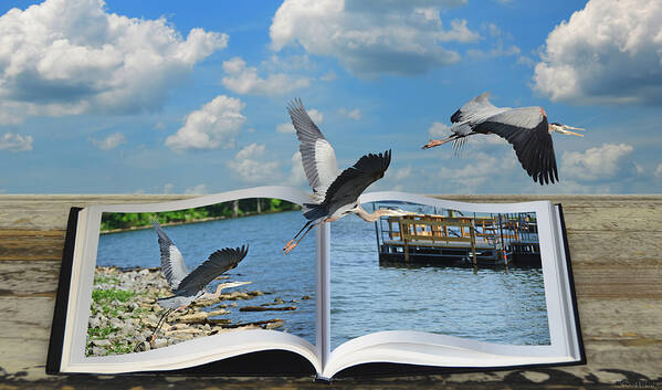 Great Blue Heron Poster featuring the photograph Blue Heron Storybook by Steven Michael