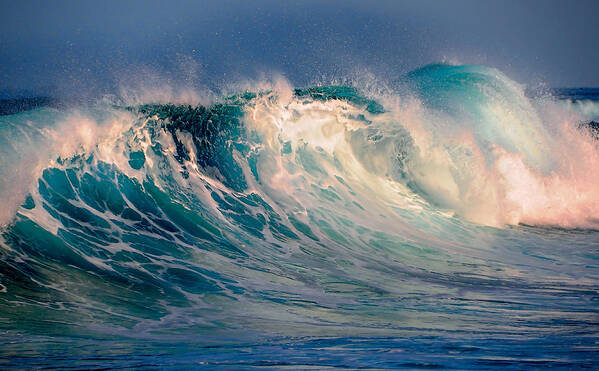 Wave Poster featuring the photograph Blue Power. Indian Ocean by Jenny Rainbow