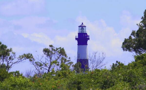 Lighthouse Poster featuring the photograph Bodie Light Behind The Trees by Cathy Lindsey