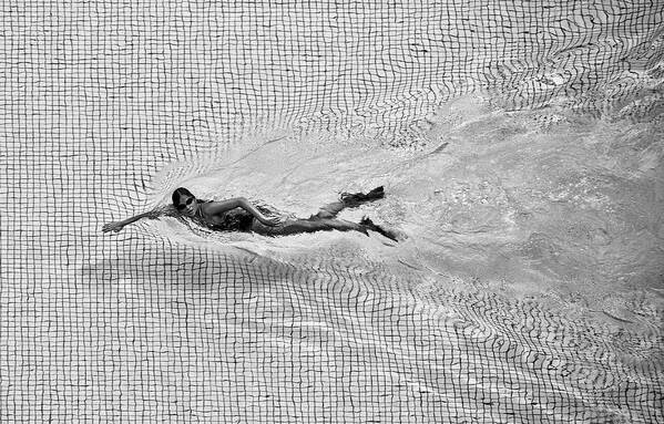 Swim Poster featuring the photograph Breaking The Net by C.s. Tjandra Swim Poster featuring the photograph Breaking The Net by C.s. Tjandra