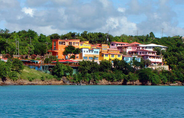 Grenada Poster featuring the photograph Caribbean Colors by Donna Proctor