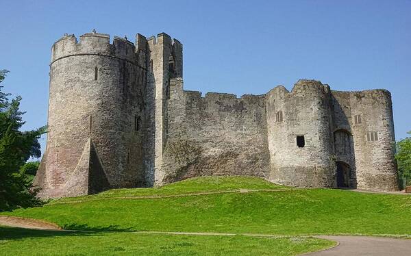 Castle Poster featuring the photograph Chepstow Castle 170 by Ron Harpham