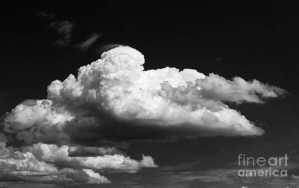 Black And White Clouds Poster featuring the photograph Clouds over the Palouse by Ron Roberts