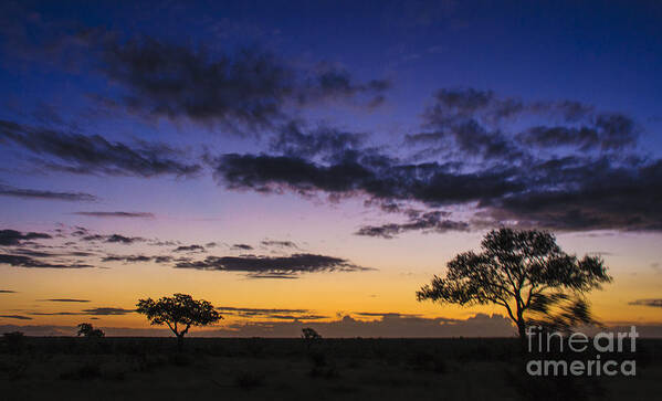 Kruger Poster featuring the photograph Colors of Africa by Jennifer Ludlum