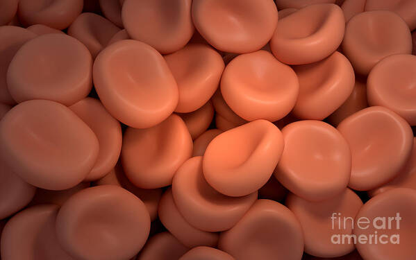 Three Dimensional Poster featuring the digital art Conceptual Image Of Red Blood Cells by Stocktrek Images