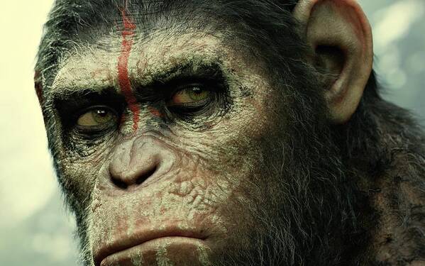 Apes Poster featuring the photograph Dawn of the Planet of the Apes by Movie Poster Prints