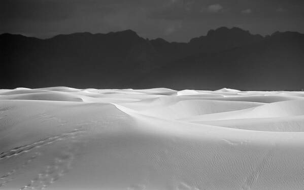 Desert Poster featuring the photograph Dunes at White Sands by Mark McKinney