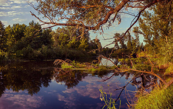 Landscape Poster featuring the photograph Early morning by Dmytro Korol