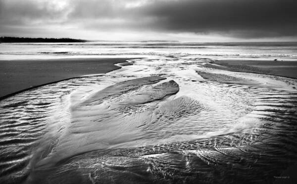 Ocean Poster featuring the photograph Ebb Tide by Theresa Tahara