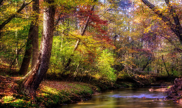Autumn Poster featuring the photograph Fall Along The Creek Bank by Greg and Chrystal Mimbs