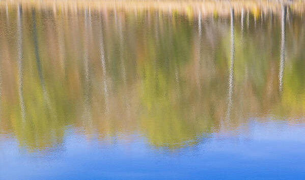 Nature Poster featuring the photograph Fall Foliage Reflected in Lake by Steven Schwartzman