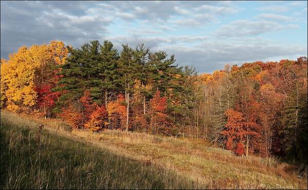 Cuyahoga Valley National Park Poster featuring the photograph Fall in the Valley by Daniel Behm