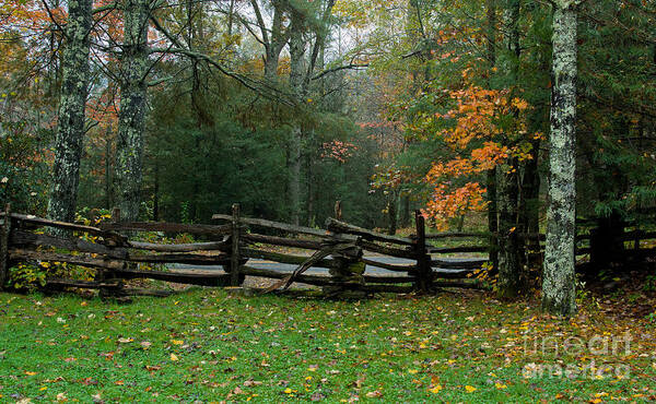 Yellow Poster featuring the photograph Fall Split Rail Fence Scenic by Ules Barnwell