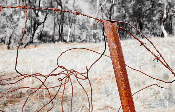 Australia Poster featuring the photograph Fence by Steven Ralser