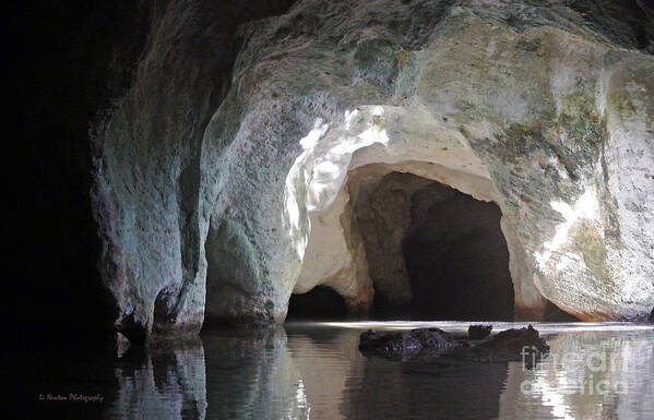 Bernier Cave Poster featuring the photograph Flooding Light by Li Newton