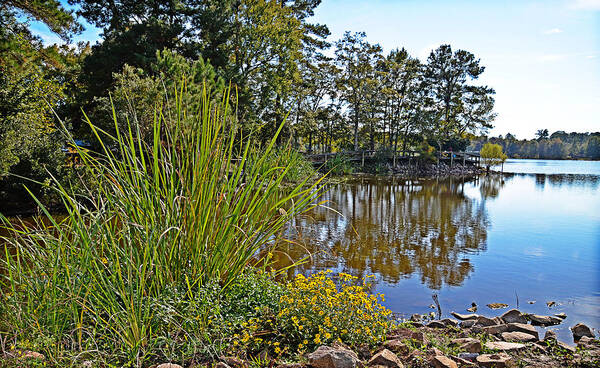 Water Poster featuring the photograph Flowers on the Shore by Linda Brown