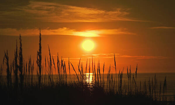 Sunrise Poster featuring the photograph Gold Over Grass by Mike Kling