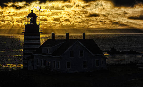 Golden Light Poster featuring the photograph Golden Backlit West Quoddy Head Lighthouse by Marty Saccone
