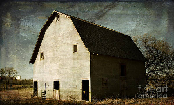 Barn Poster featuring the photograph Good Bones by Pam Holdsworth