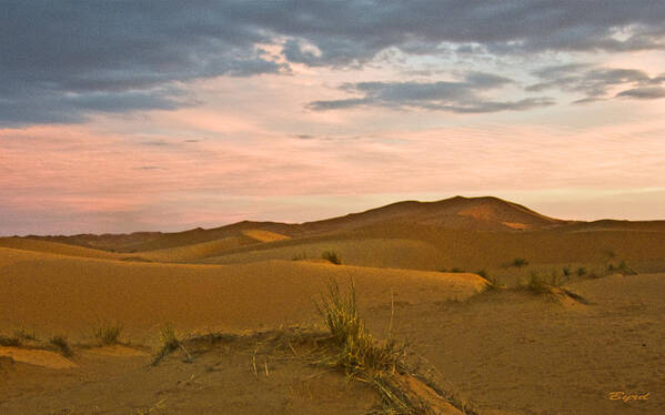 Sahara Dunes sand Dunes Morocco Desert Poster featuring the photograph Good Morning Sahara by Christopher Byrd