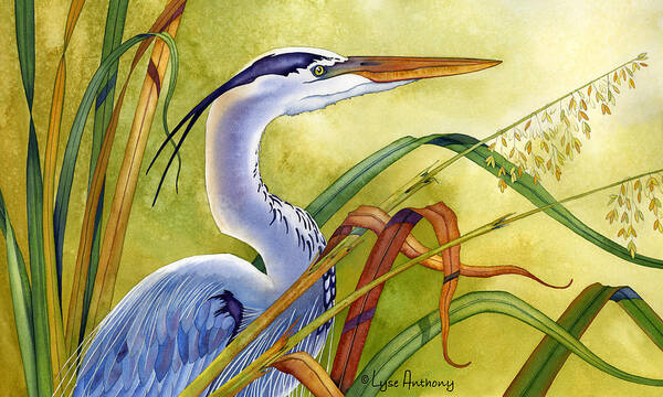 Watercolor Poster featuring the painting Great Blue Heron by Lyse Anthony