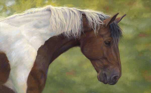 Horse Poster featuring the painting Intrigued by Lucie Bilodeau