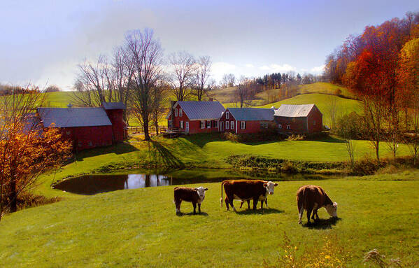 Jenne Farm Poster featuring the photograph Jenne Farm In Autumn by Nancy Griswold