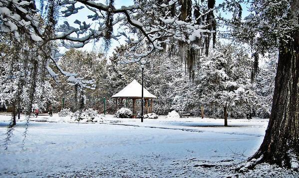 Snow Poster featuring the photograph Kellahan Park by Linda Brown