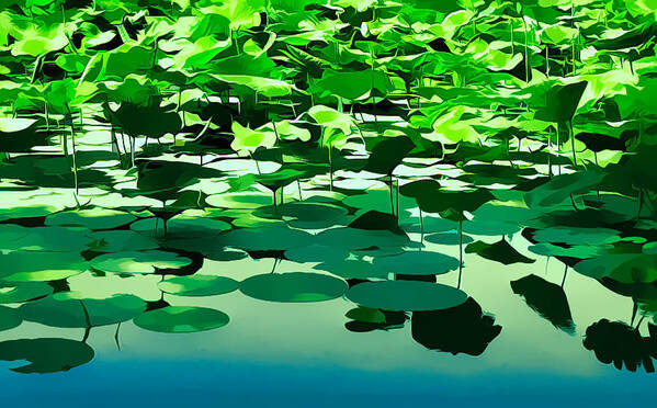 Lilly Pads Poster featuring the photograph Lilly Pads of Reelfoot Lake by Bonnie Willis
