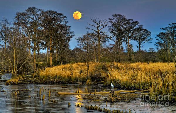 Pawleys Island Poster featuring the photograph Pawleys Island Marsh Moon by Mike Covington