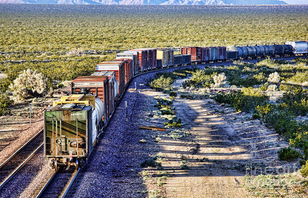 Train Poster featuring the photograph Mojave Desert Train by Diana Sainz by Diana Raquel Sainz