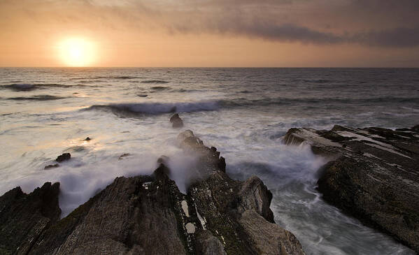 Coast Poster featuring the photograph Montana De Oro 2 by Paul Riedinger