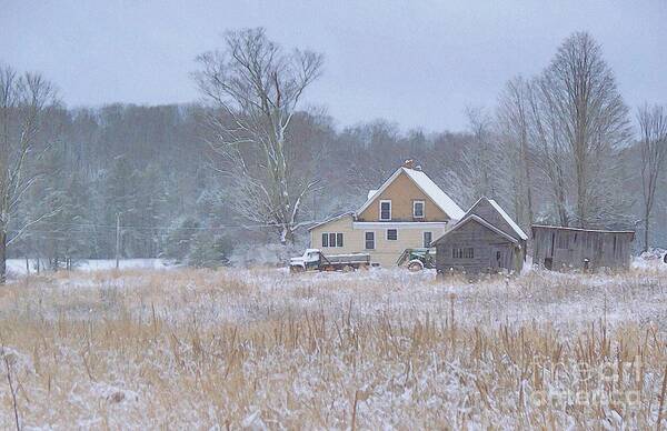 Morning Snow Poster featuring the photograph Morning Snow by Joy Nichols