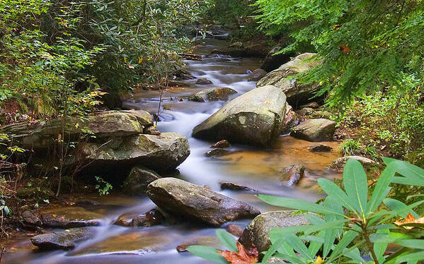 Landscape Poster featuring the photograph Mountain Stream by David Palmer