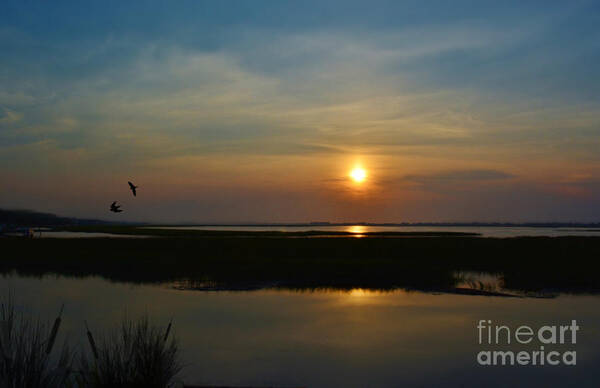Sunrise Poster featuring the photograph Murrells Inlet Sunrise by Kathy Baccari
