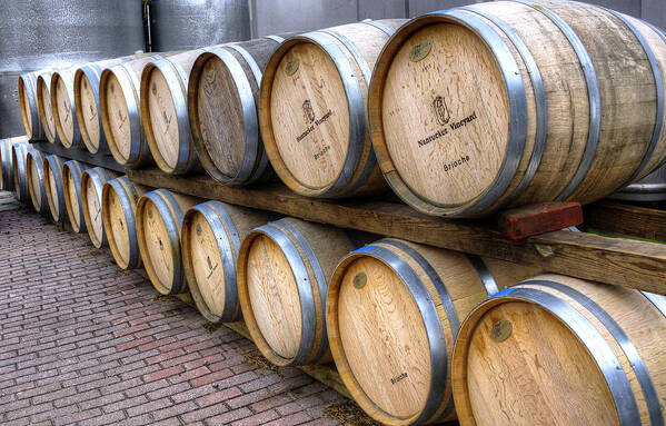 Barrel Poster featuring the photograph Nantucket Vineyard Wine Barrels by Donna Doherty