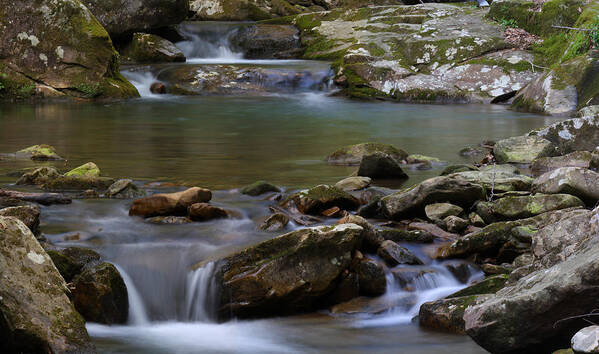 North Prong Of Flat Fork Creek Poster featuring the photograph North Prong Of Flat Fork Creek by Daniel Reed