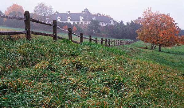 Connecticut Poster featuring the photograph Nyala Fog by Tom Daniel