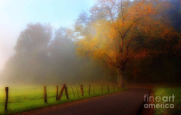Cades Cove Poster featuring the photograph October And Fog by Michael Eingle