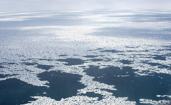 Aerial Poster featuring the photograph Pancake Ice by Carleton Ray