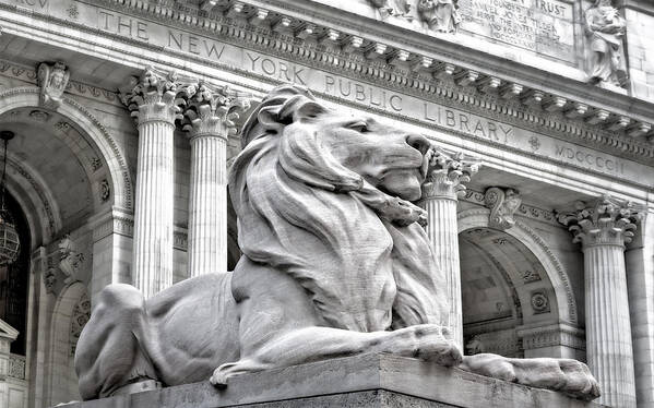 New York Public Library Poster featuring the photograph Patience The NYPL Lion by Susan Candelario