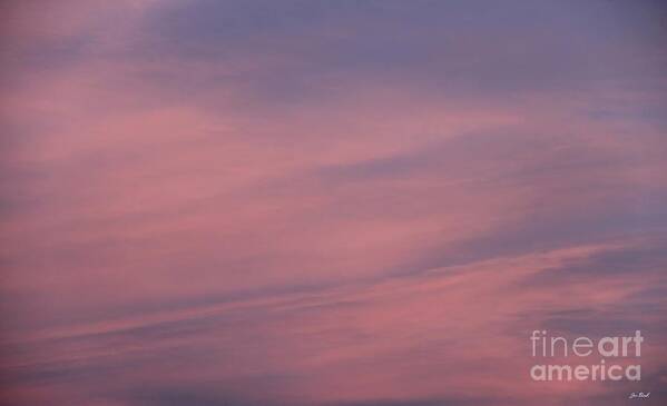 Pink And Blue Poster featuring the photograph Pink and Blue by Jon Burch Photography