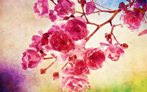 Pink Poster featuring the digital art Pink Blossom - watercolor edition by Lilia S