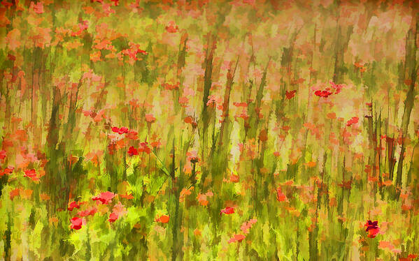 Flowers Meadow Poster featuring the painting Poppies of Tuscany II by David Letts