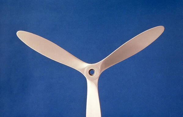 Acer Poster featuring the photograph Propeller by Perennou Nuridsany